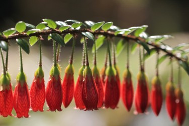 东莞东坑私人快速借钱网，轻松解决资金难题