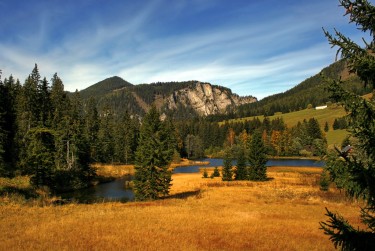 东莞东坑民间私贷攻略：揭秘低成本借贷的秘密