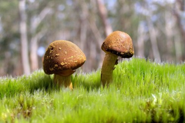 东莞东坑私人老板放款：轻松融资的秘密通道